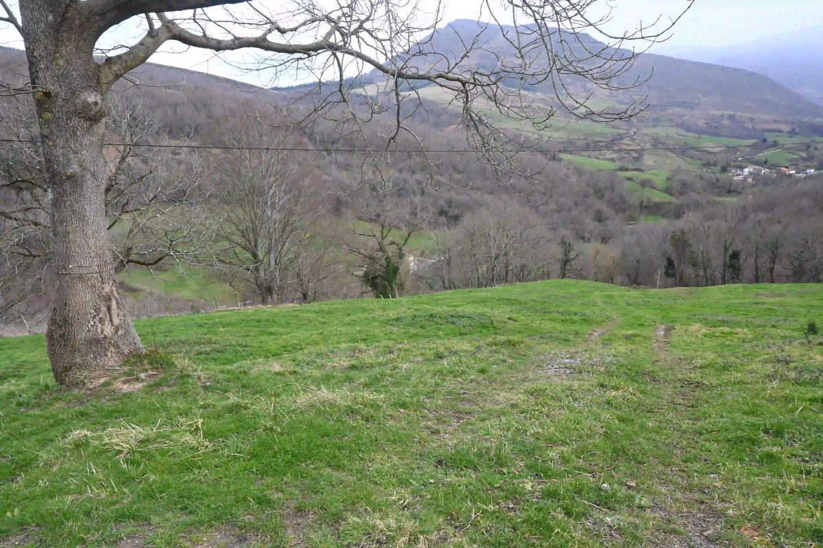 Cabaña de piedra con 45.468 m² de terreno en Herada (Soba)