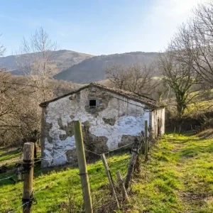 Cabaña rústica con Terreno